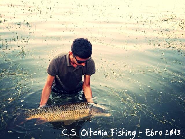 2013 - 2 - image111111111.jpg